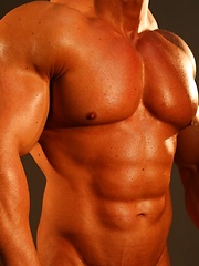 Tanned and muscled man body
